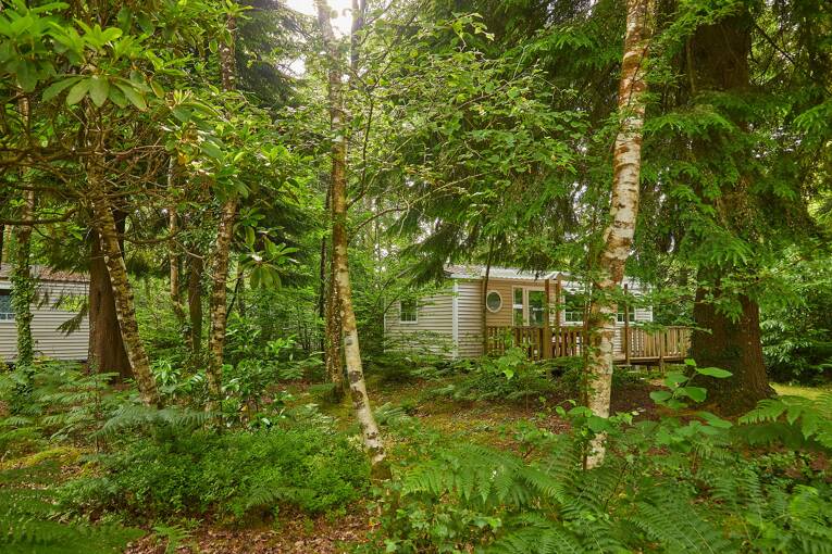 Camping Le Bois de Pleuven **** photo 2 Bretagne Tohapi